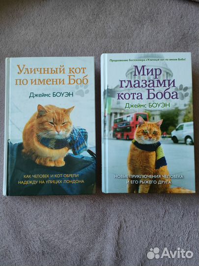 Книги. Джеймс Боуэн