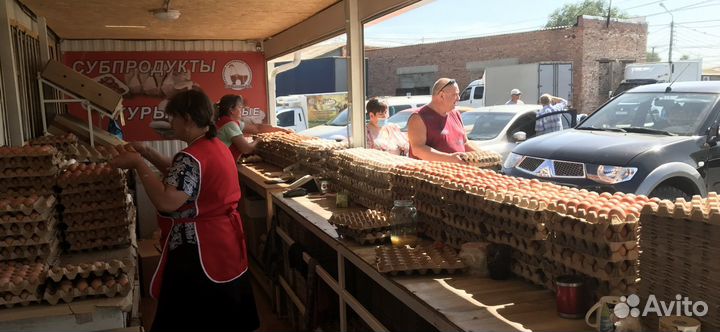 Яйцо куриное розничная продажа