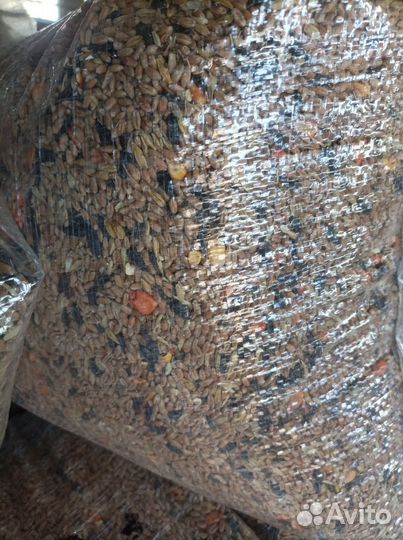 Корм для птиц