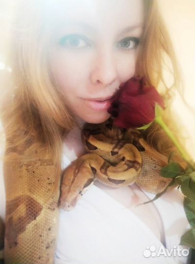 Змея для фотосессий, фотограф