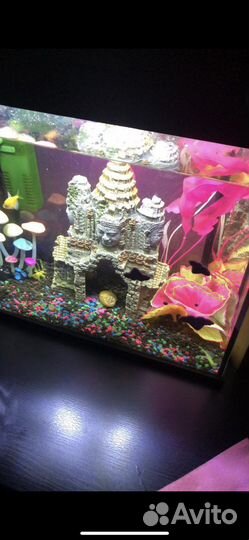 Аквариум