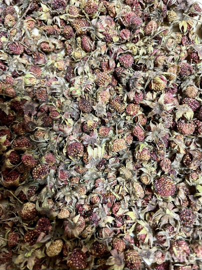 Земляника луговая сушеная