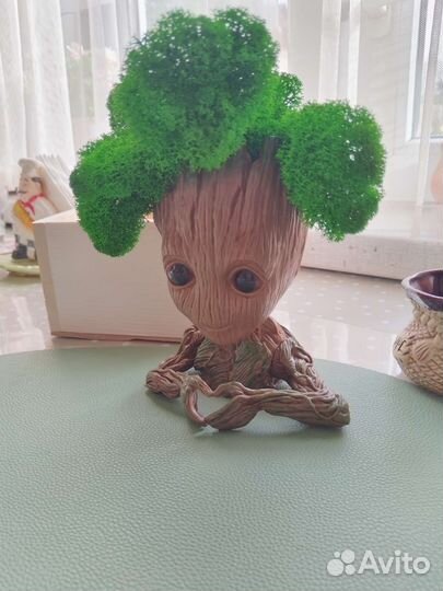 Кашпо Грут в подарок, для интерьера