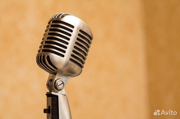 Ретро микрофон Элвиса 55SH