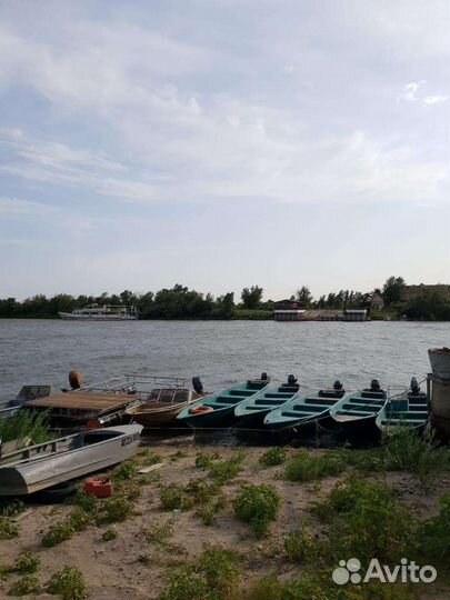 Охота и рыбалка в Астрахани