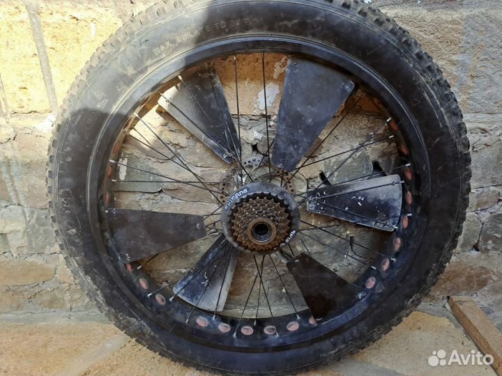 Федбайк Акула