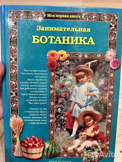 Занимательная ботаника