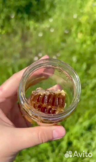 Мёд в сотах 2024 опт