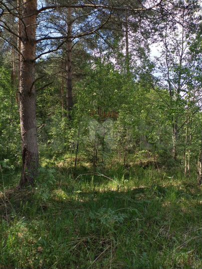 Участок 2,13 га (СНТ, ДНП)