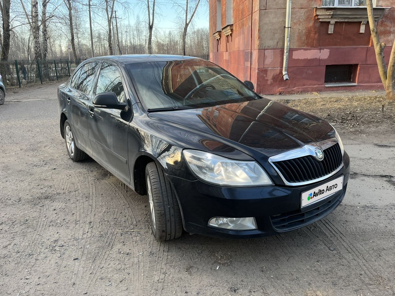 Skoda Octavia: фото владельца