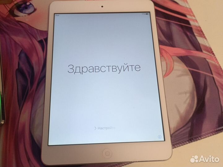 iPad mini 1