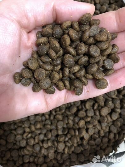 Корм для собак Blitz holistic