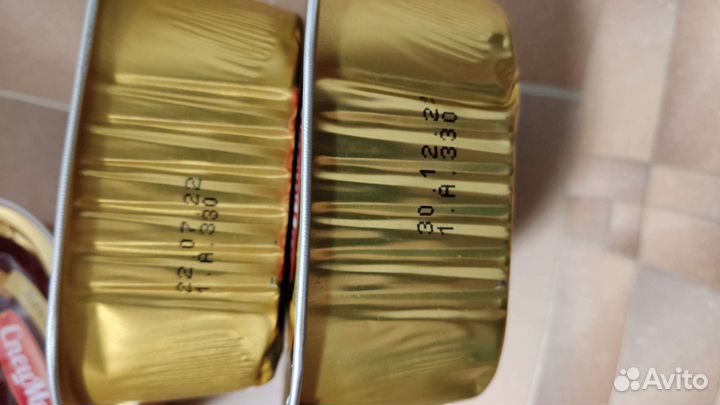 Влажный корм для собак