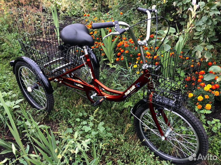 Удобный трицикл-вездеход для поездки на дачу