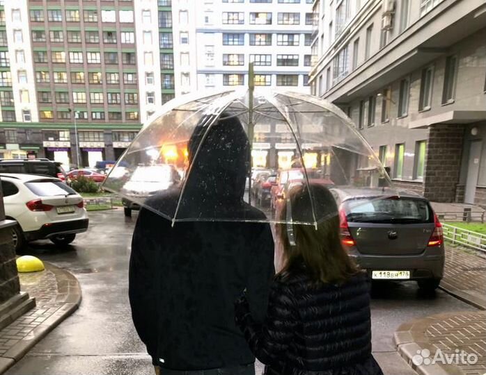 Аренда прозрачных зонтов