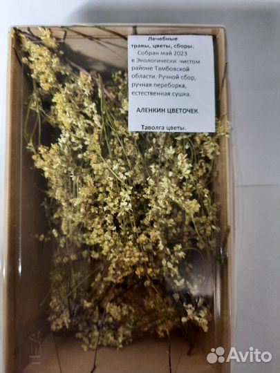 Цветы таволги, листья