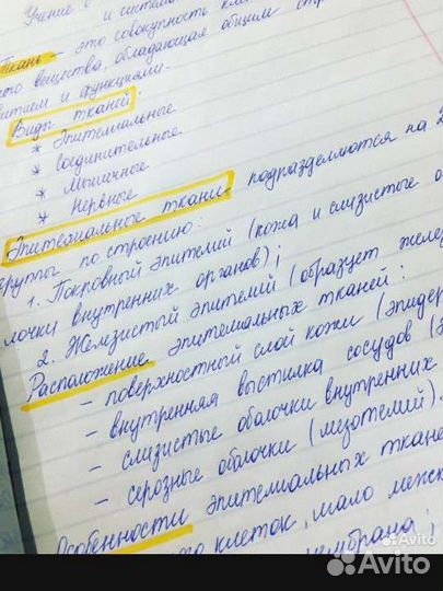 Перепишу лекции, конспекты, перепечатаю текст Word