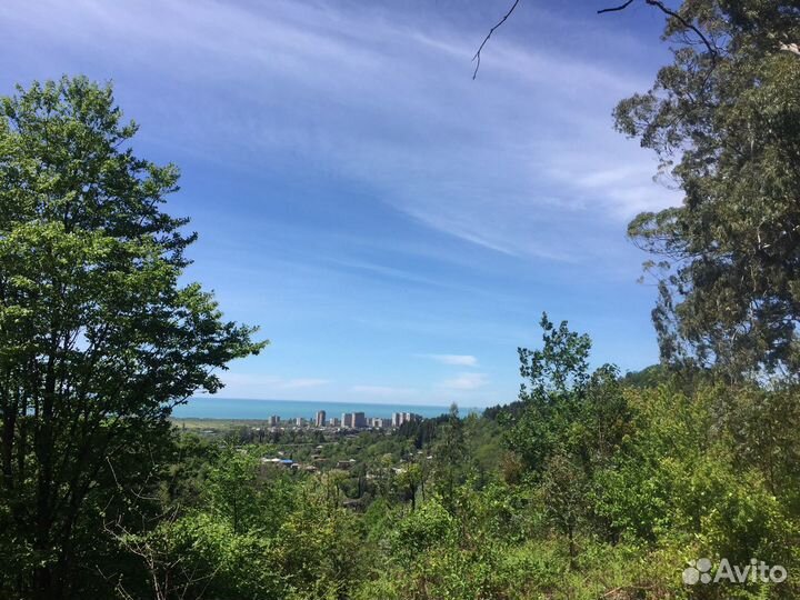 Экскурсия на квадроциклах в Абхазии. Гагра