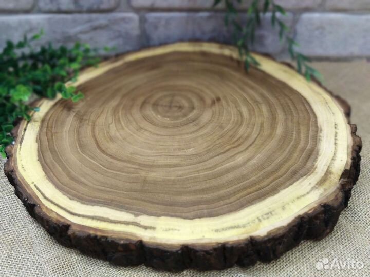 Спилы вяза, дуба