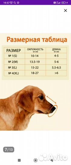 Комбинезон/дождевик на таксу, намордник тканевый