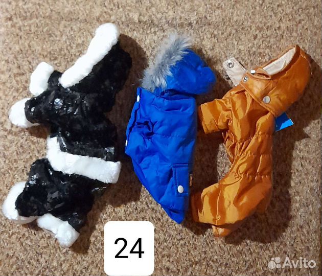Комбинезоны и куртки для собак