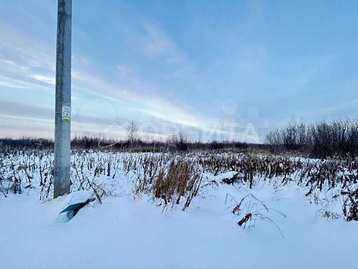 Участок 36 сот. (СНТ, ДНП)