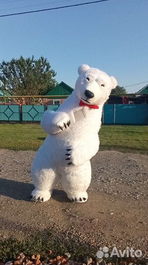 Белый мишка поздравление