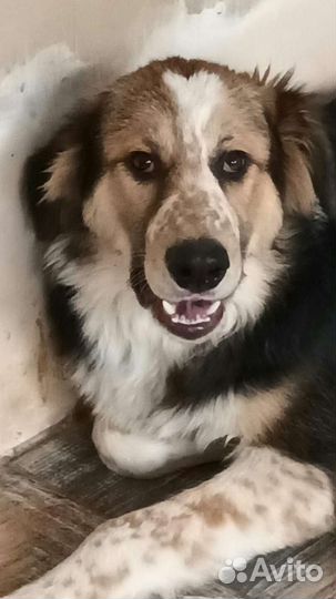 Жду своего человека