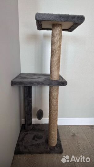 Когтеточка