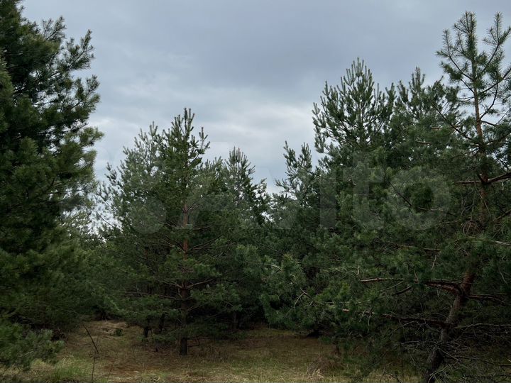 Участок 3,3 га (СНТ, ДНП)