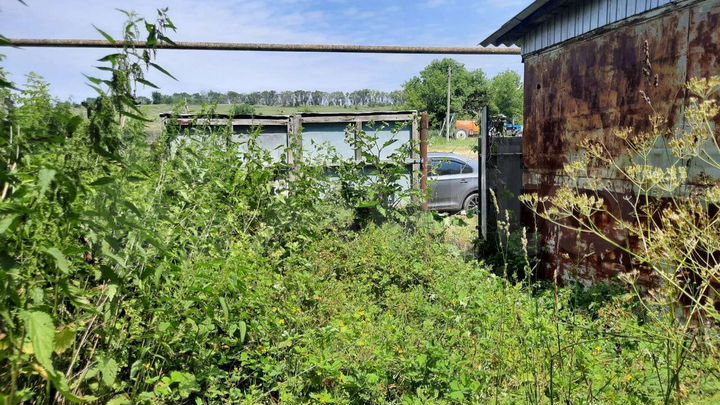 Дом 25 м² на участке 30 сот.