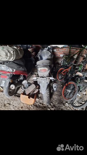 Скайвэй рейсер 250