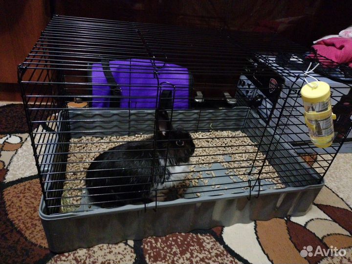 Клетка для кролика или морской свинки. Большая