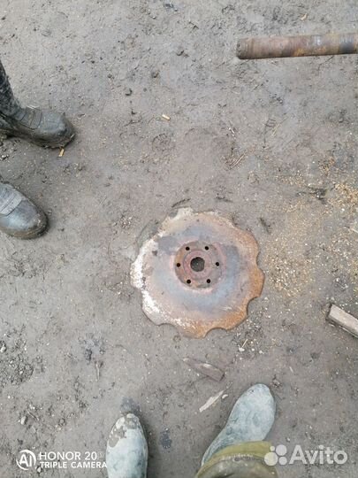 Ромашки дискатора