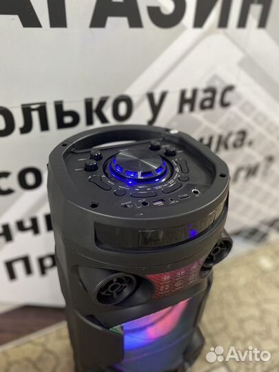 Портативная аудиосистема Fiero Wonder V450