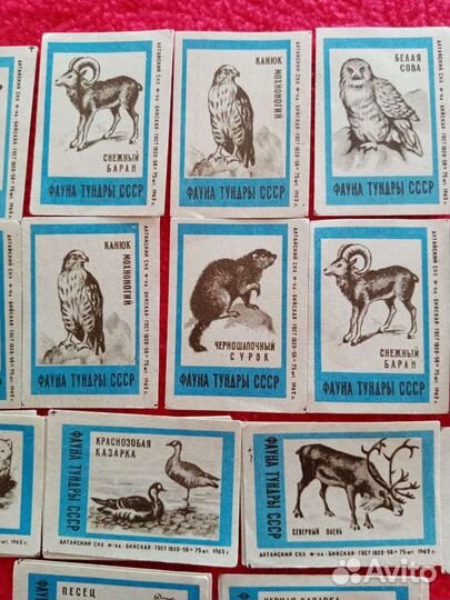Спичечные этикетки. Фауна тундры