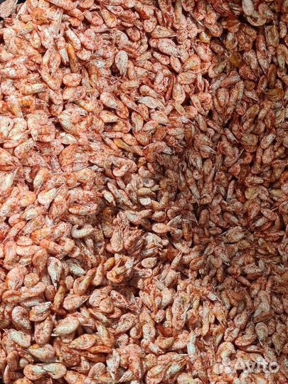 Сушеная черноморская креветка