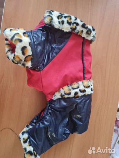 Одежда для животных