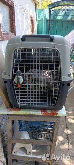 Переноска для собак