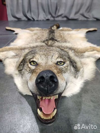 Чучело волка