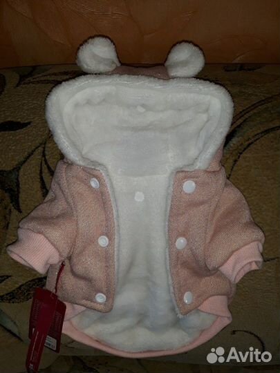 Одежда для собак