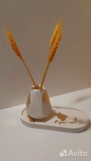 Набор из гипса /вазочка для сухоцветов