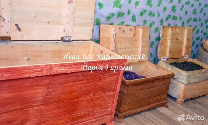 Иван-чай крупнолистовой опт и розница