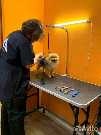 Стрижка собак и кошек. Мойка для крупных собак