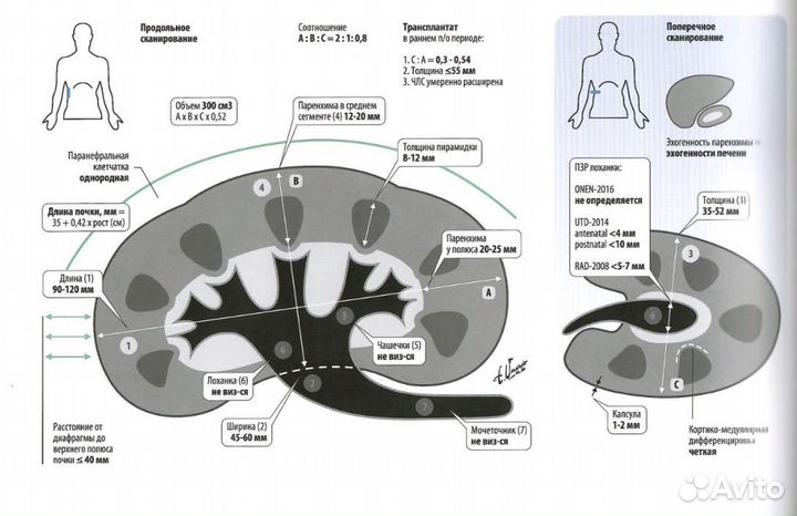 Учебная медицинская литература