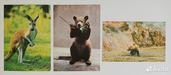 Открытки СССР. Оригиналы. Чистые. Люкс