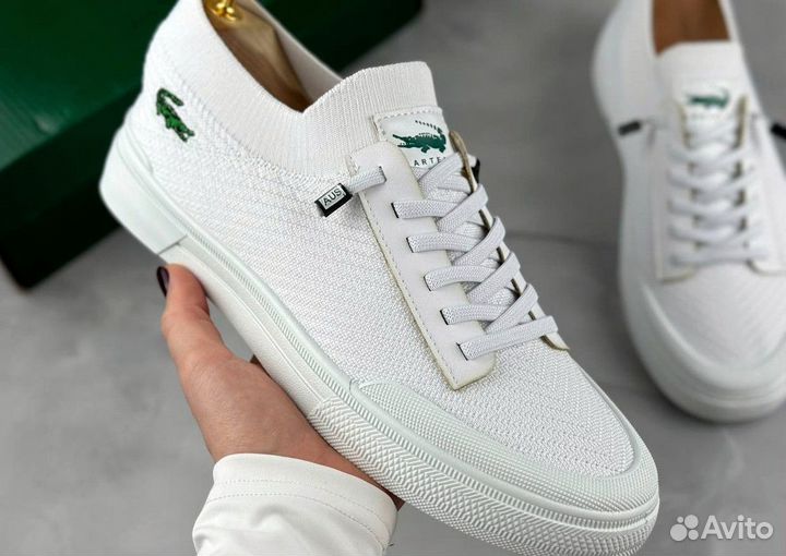 Мужские летние кеды Lacoste