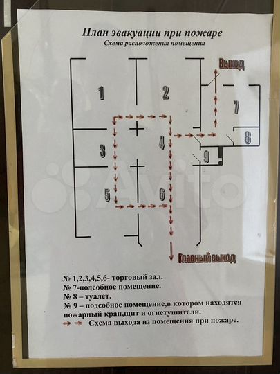 Торговая площадь, 116.7 м²