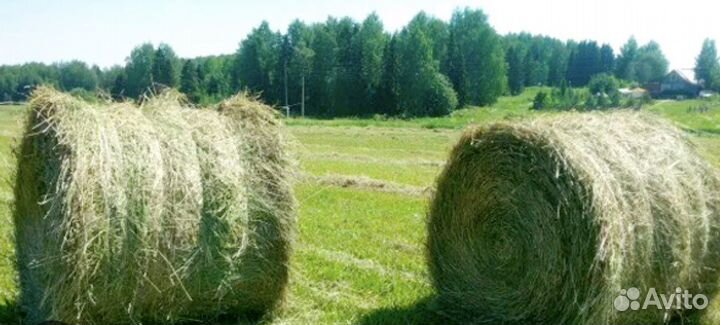 Сено в рулонах