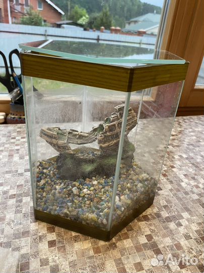 Аквариум для рыбки петушка